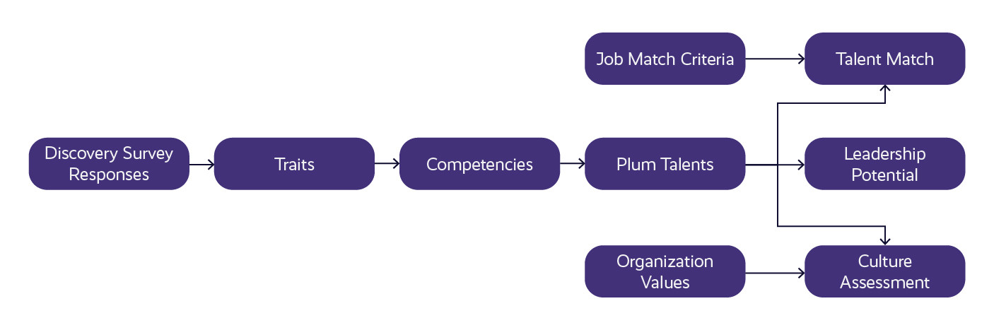 Plum Measurement Model